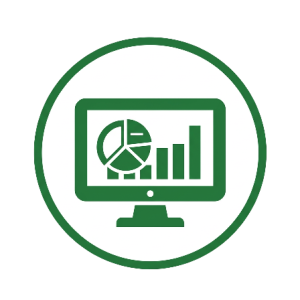 Custom Financial Dashboards